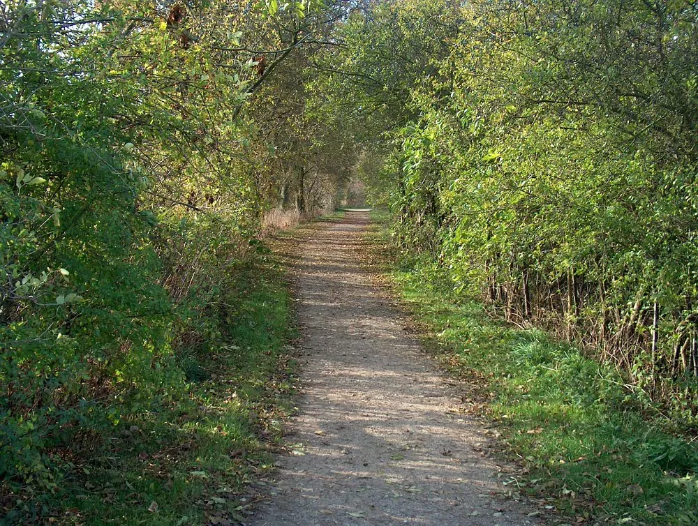 Foto aus Geltinger Birk
