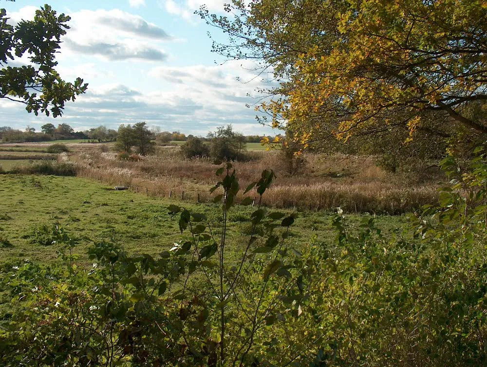 Foto aus Geltinger Birk