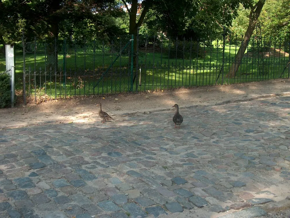 Foto aus Glücksburg (Ostsee)