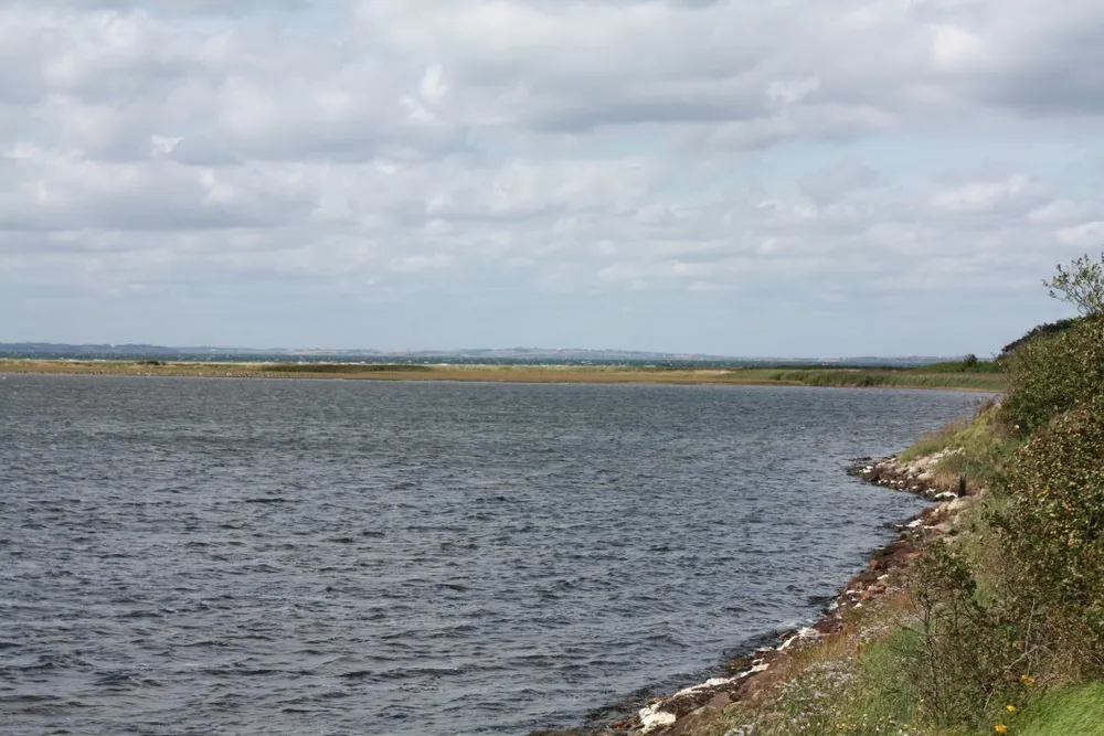 Foto aus Wackerballig & Wildpferde