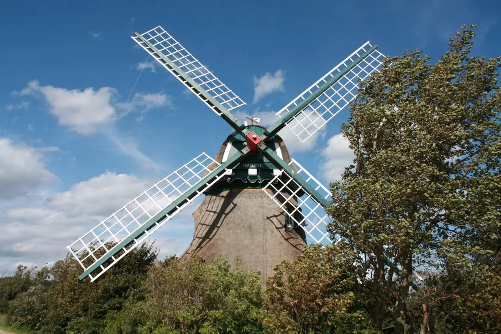 Foto aus Wackerballig & Wildpferde