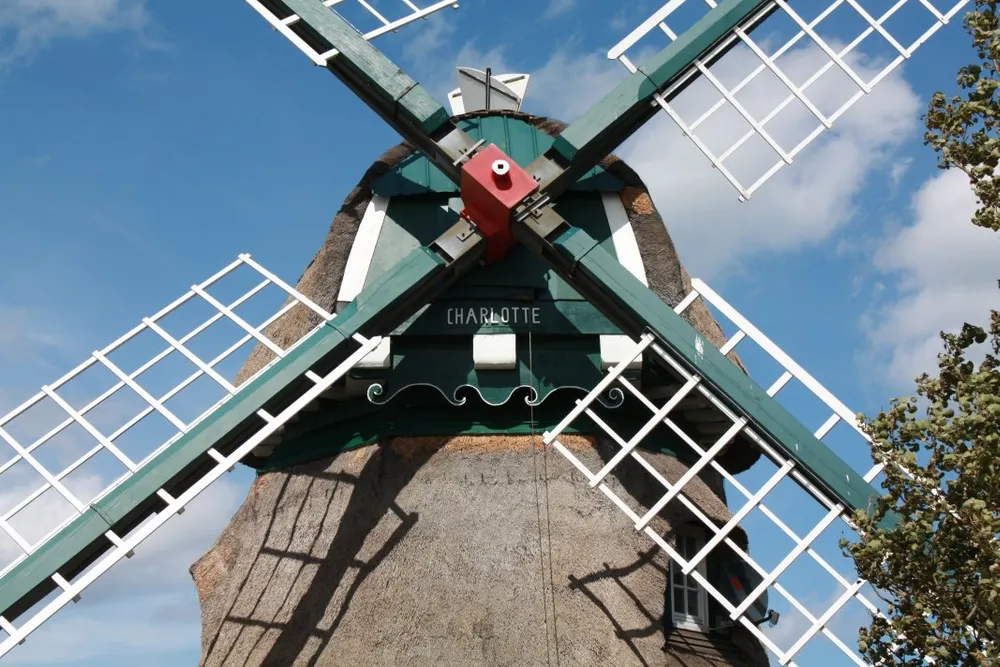 Foto aus Wackerballig & Wildpferde