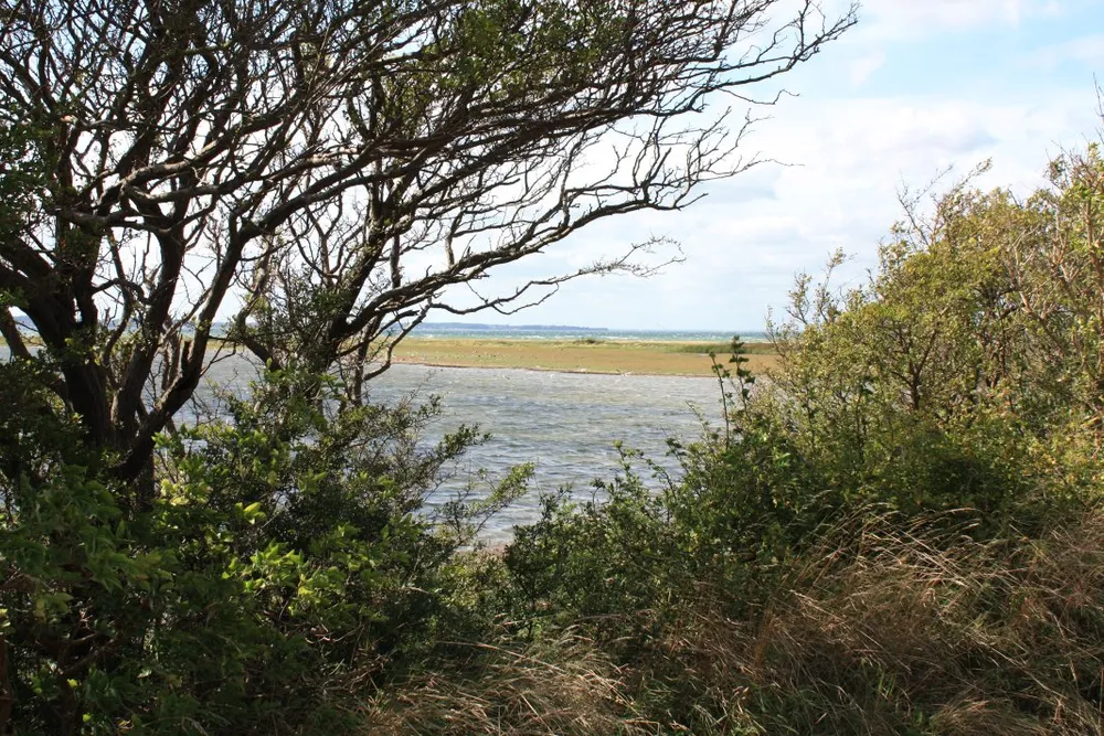 Foto aus Wackerballig & Wildpferde