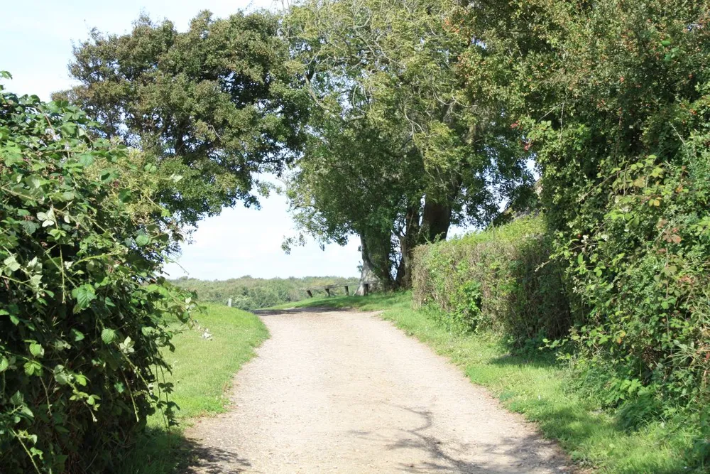 Foto aus Wackerballig & Wildpferde