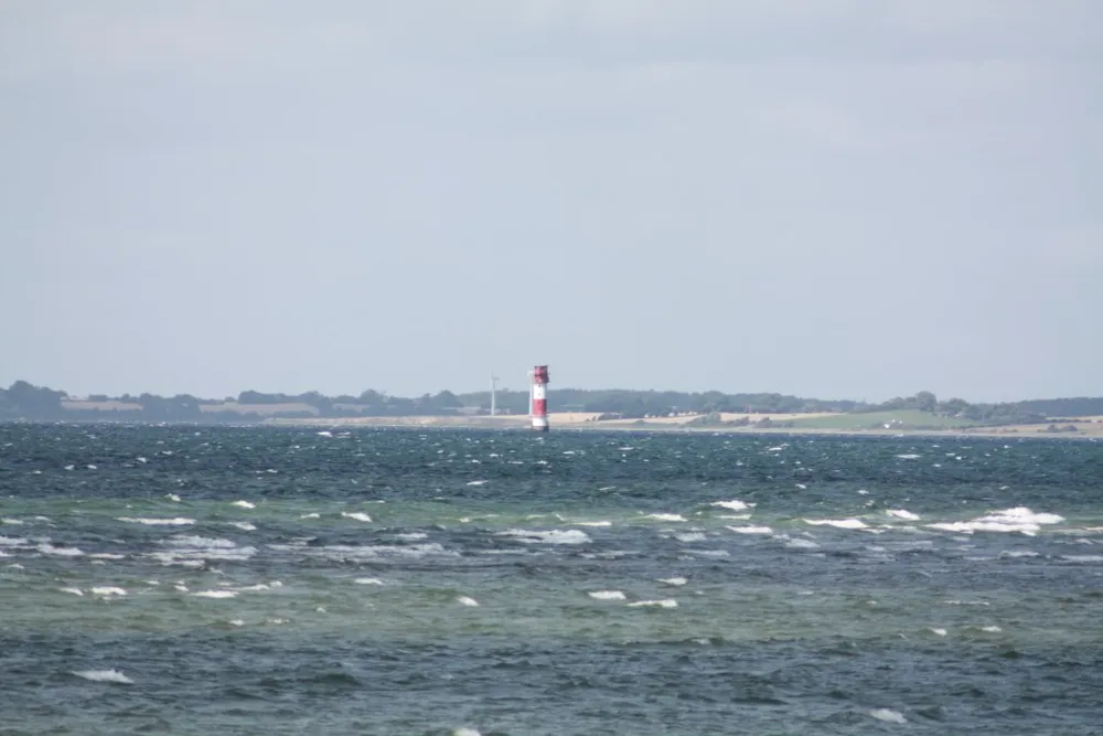 Foto aus Wackerballig & Wildpferde