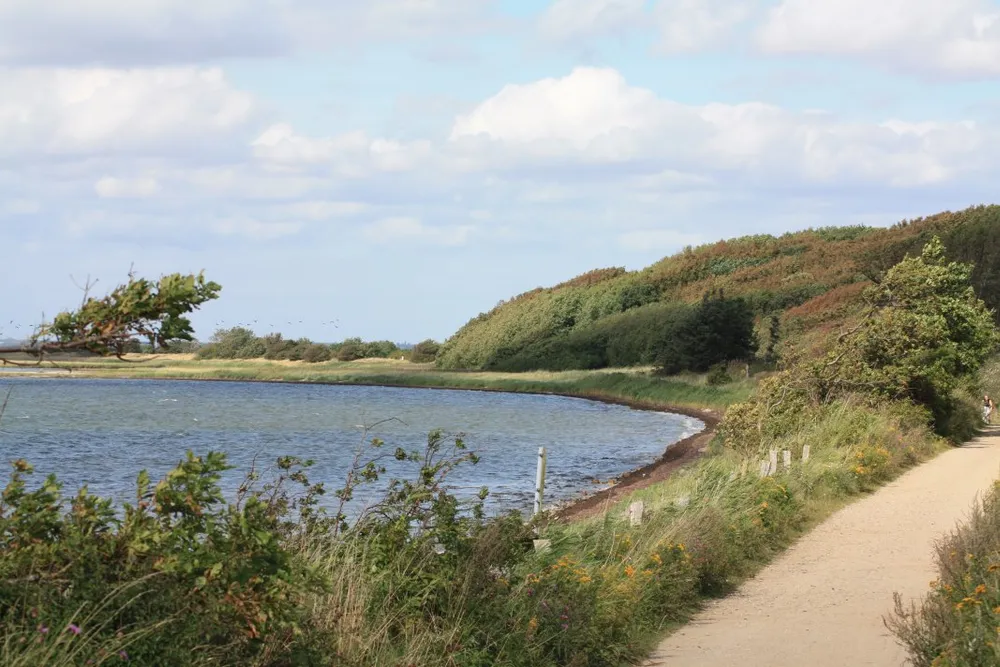 Foto aus Wackerballig & Wildpferde