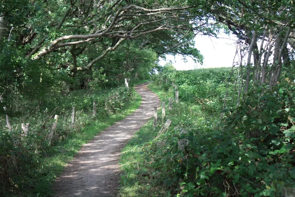 Foto aus Wackerballig & Wildpferde