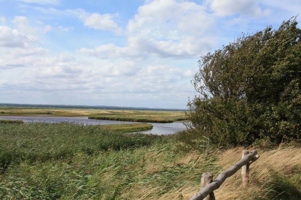 Foto aus Wackerballig & Wildpferde