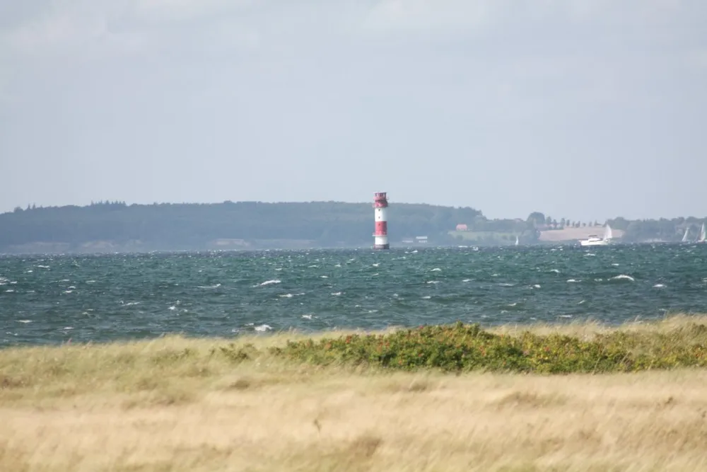 Foto aus Wackerballig & Wildpferde