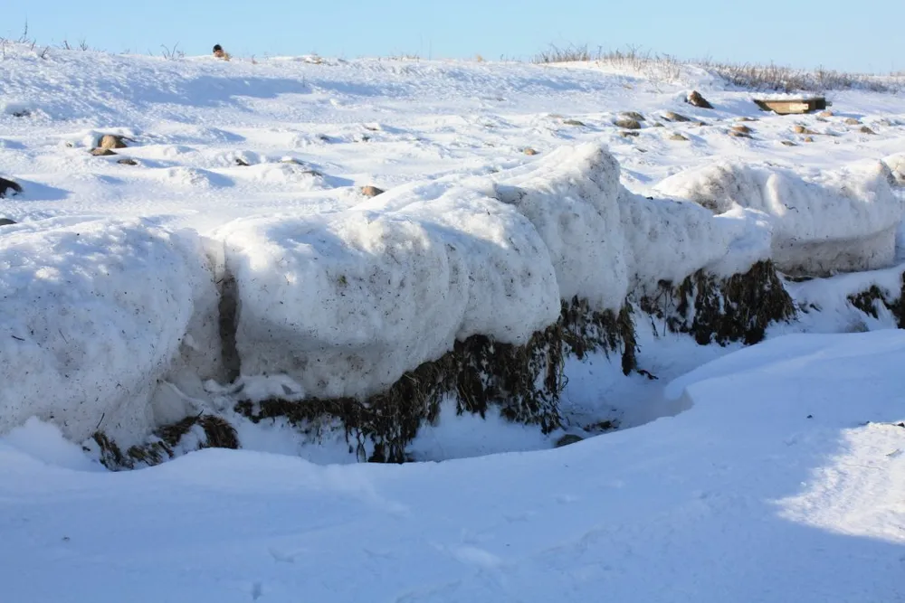 Foto aus Winter an der Ostsee