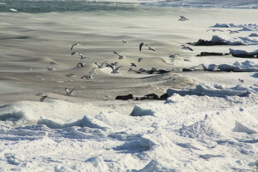 Foto aus Winter an der Ostsee
