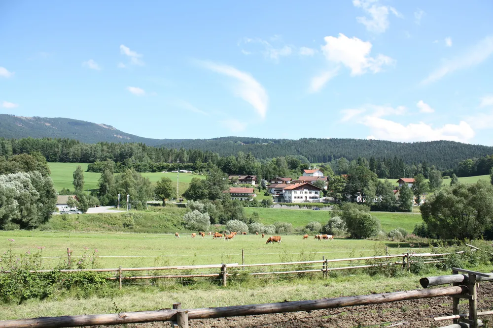 Foto aus Lohberg (Bayerischer Wald)