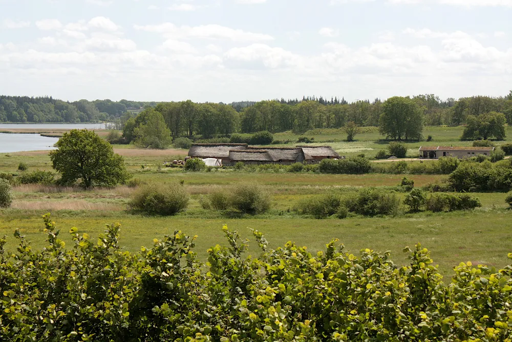 Foto aus Wikingerdorf in Haithabu